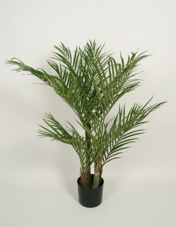 living home plante