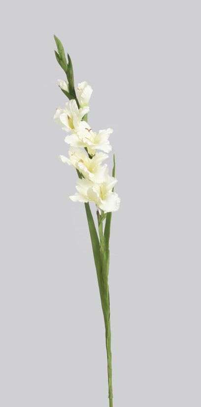 living home plante